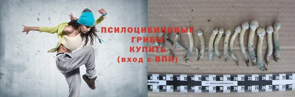 индика Алзамай
