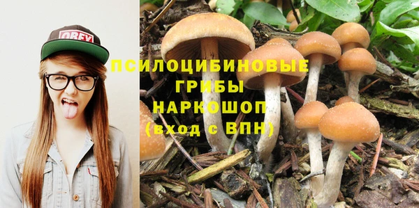 индика Алзамай