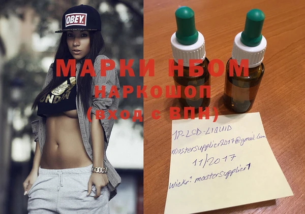 индика Алзамай