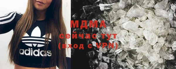 индика Алзамай