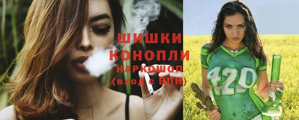 гидра Переславль-Залесский