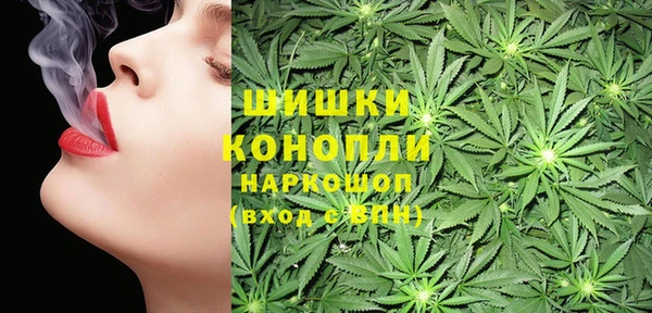 индика Алзамай