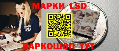 дмт Новокубанск