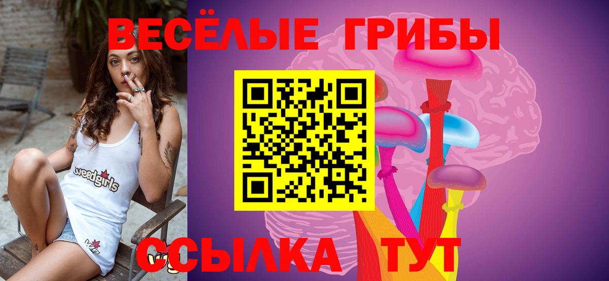 Галлюциногенные грибы ЛСД Чусовой